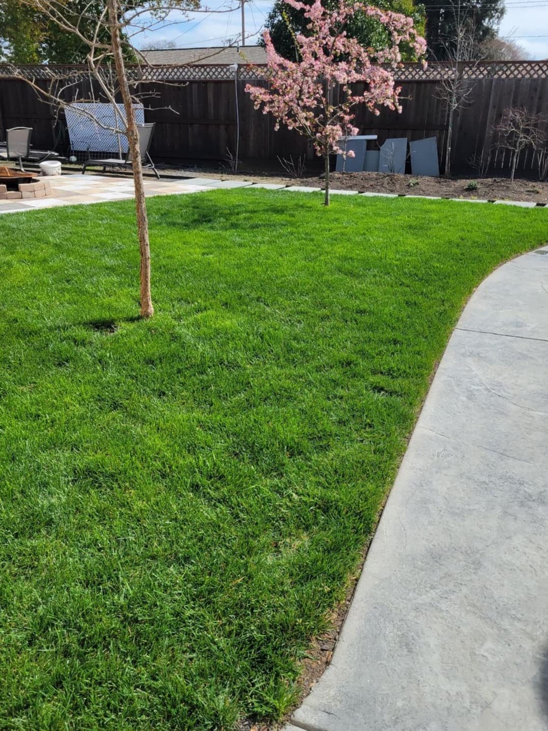 picture of a freshly cut lawn with a paver walkway